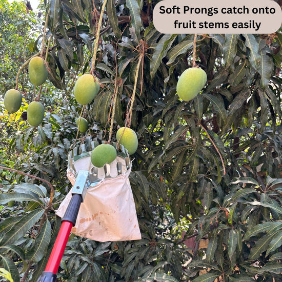 PickPack® – Premium Fruit Picker Basket Tool with Storage Bag