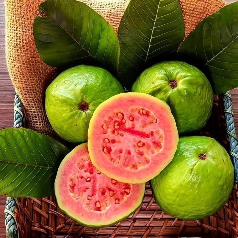 GuavaGlow® - Organic Pink Guava Seeds (100 Seeds)