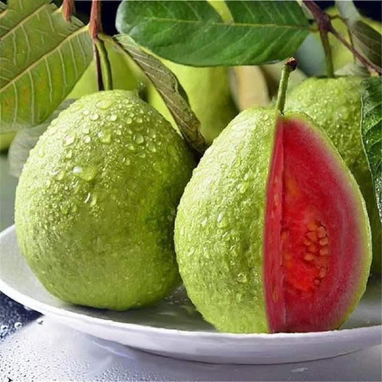 GuavaGlow® - Organic Pink Guava Seeds (100 Seeds)