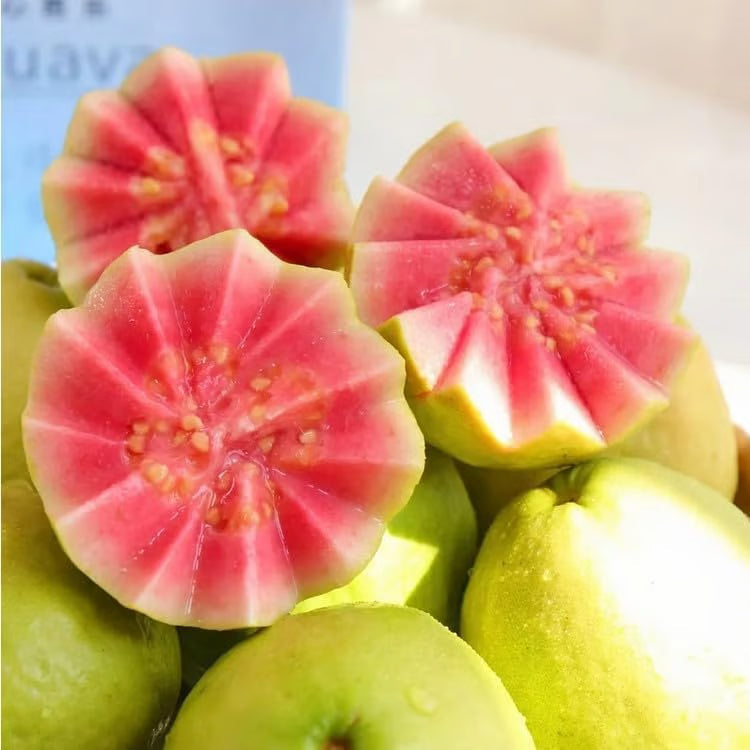 GuavaGlow® - Organic Pink Guava Seeds (100 Seeds)