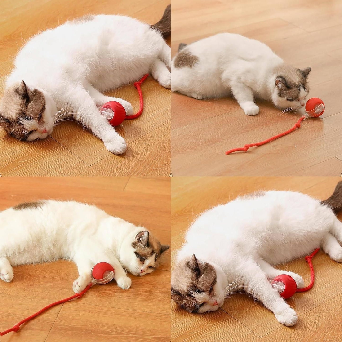 MagicBall® Touch-Activated Cat Toy Ball – Rolls Automatically to Keep Cats Engaged
