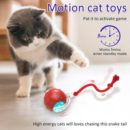 MagicBall® Touch-Activated Cat Toy Ball – Rolls Automatically to Keep Cats Engaged