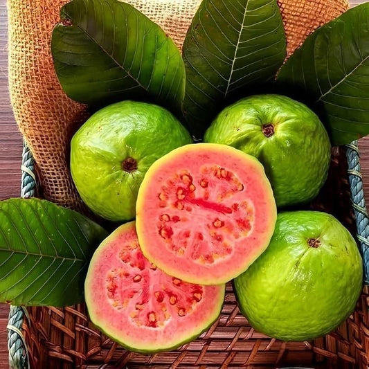 GuavaGlow® - Organic Pink Guava Seeds (100 Seeds)