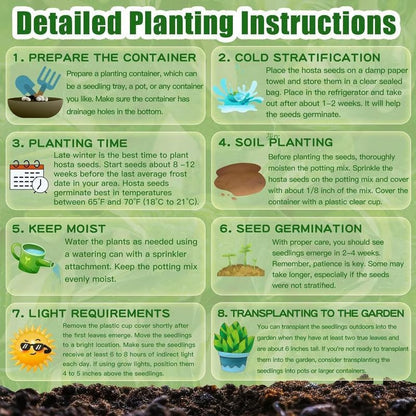 (Buy 1 Get 2 Free + Free Plant Booster) ShadeSilk® - Premium Hosta Flower Seeds