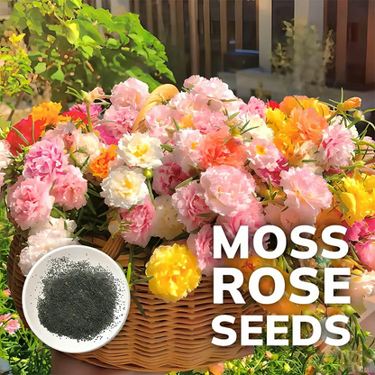 (BUY 1 GET 1 FREE) MossRose® - Perennial Flower Seeds With Plant Growth Supplement